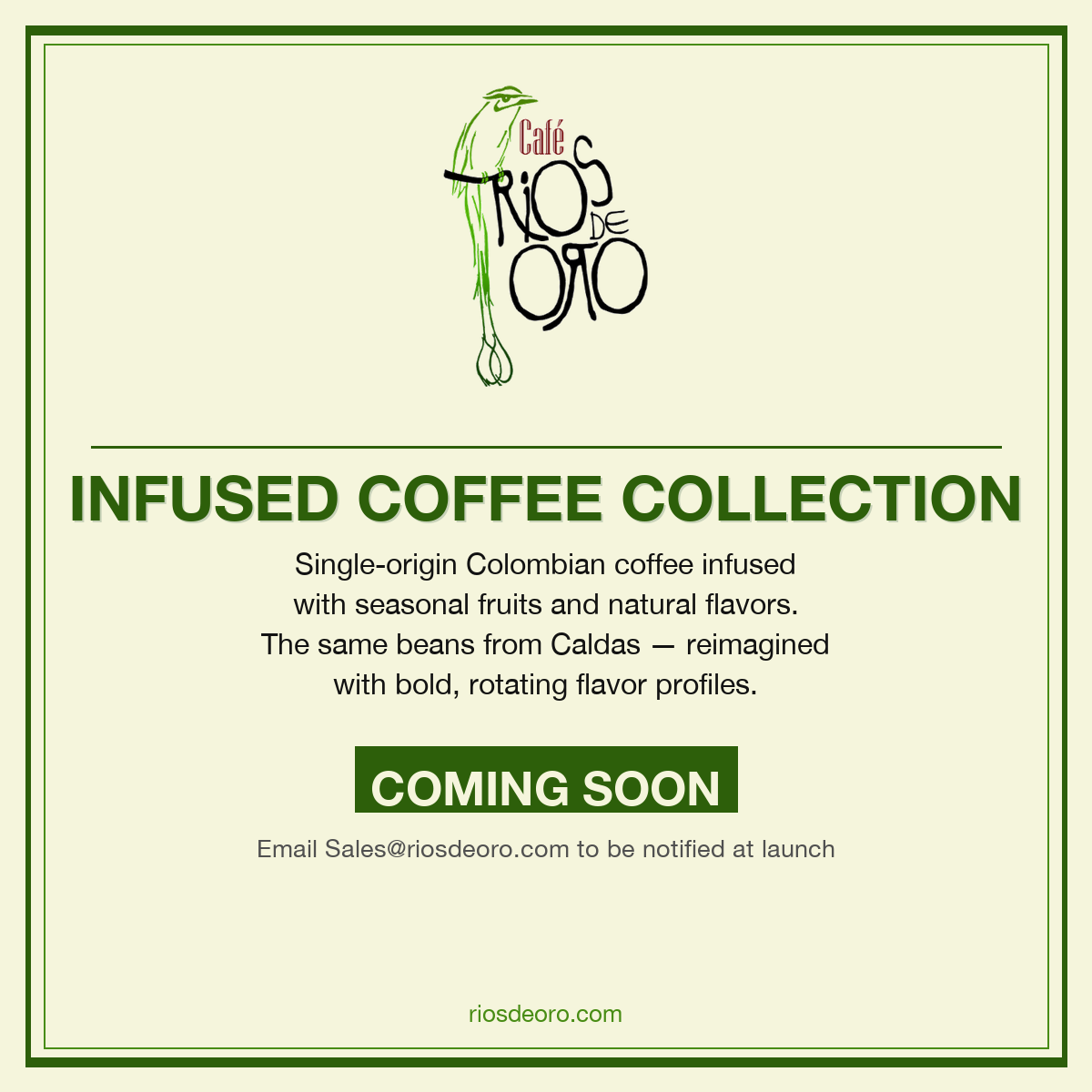 Infused Coffee Collection — Coming Soon